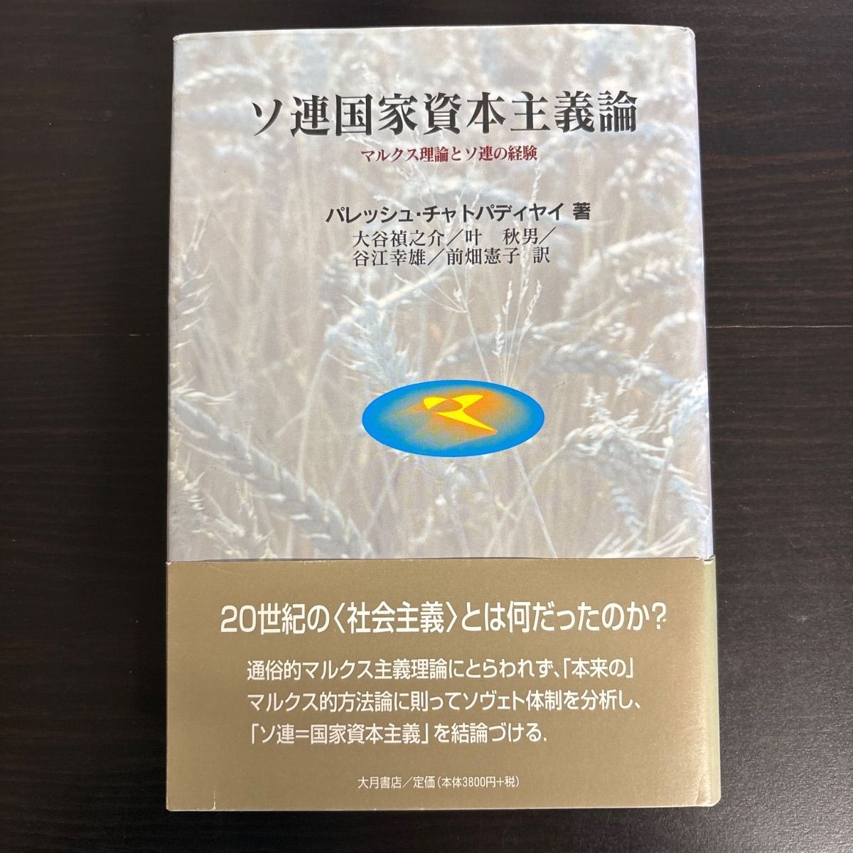 ソ連国家資本主義論 マルクス理論とソ連の経験