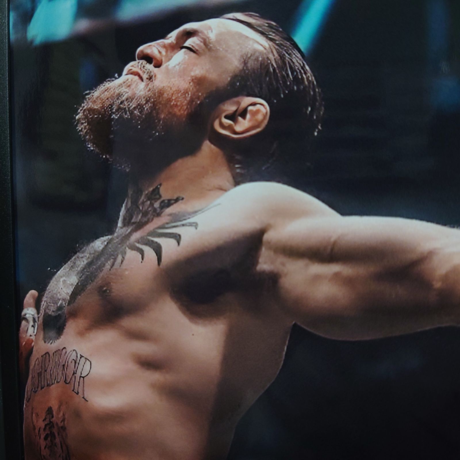 No.458F A4 コナー・マクレガー ポスター 写真 アート スポーツ 格闘技