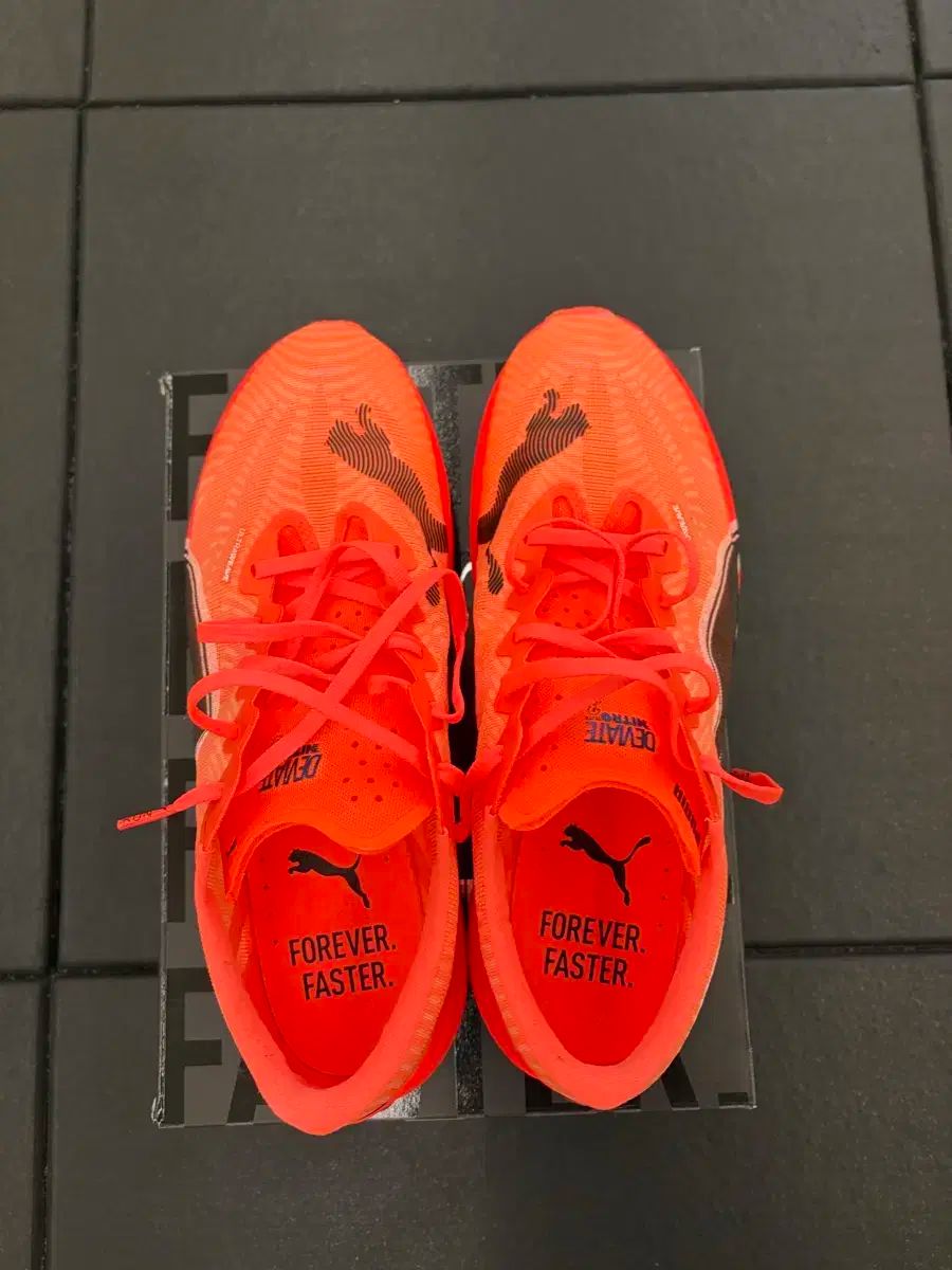 プーマ ディビエイト ナイトロ エリート3 280サイズ