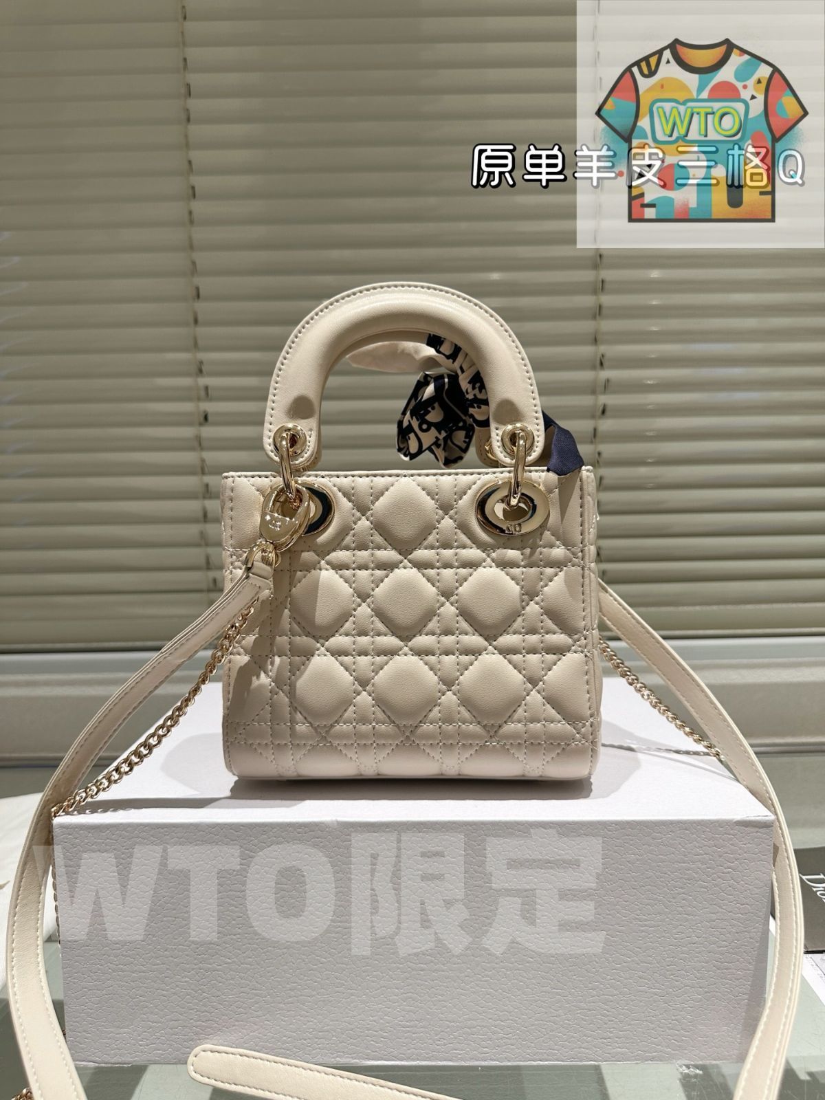 今日 Dior Lady Dior Bag ディオール レディー ディオール バッグ 羊皮 -WTO輸入