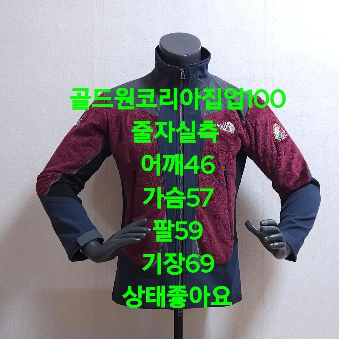 THE NORTH FACE ザ ノース フェイス GOLD ゴールド ONE ワン KOREA コリア ZIP UP ジップアップ JACKET ジャケット OLIVEOS_COM_TR