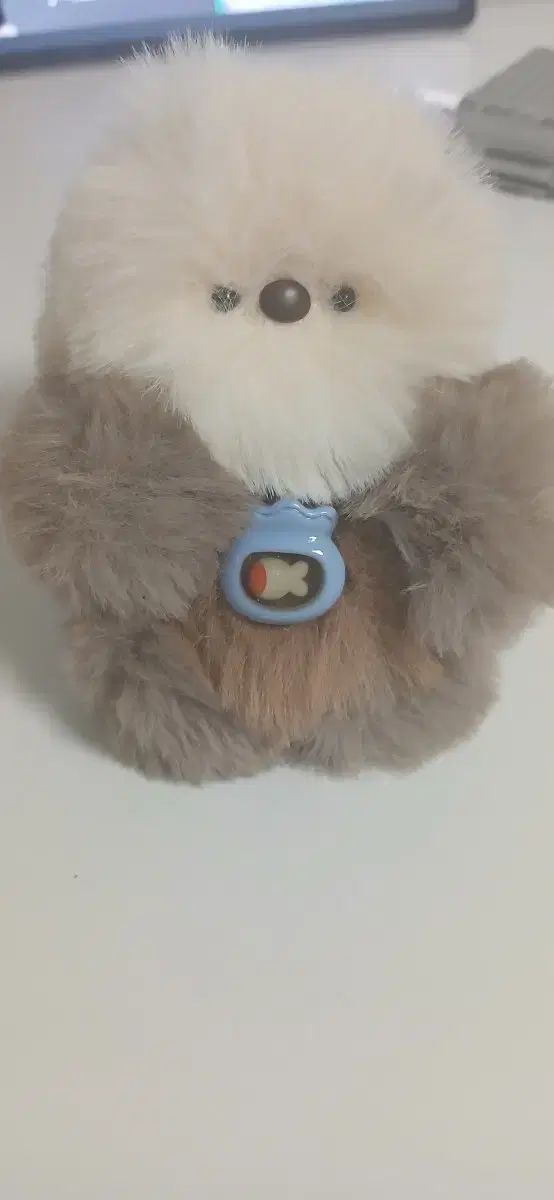 ラッコ ぬいぐるみ ラッコ ぬいぐるみ | カロラータ オンライン