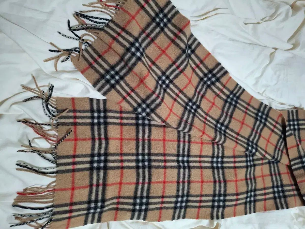 ノヴァチェック