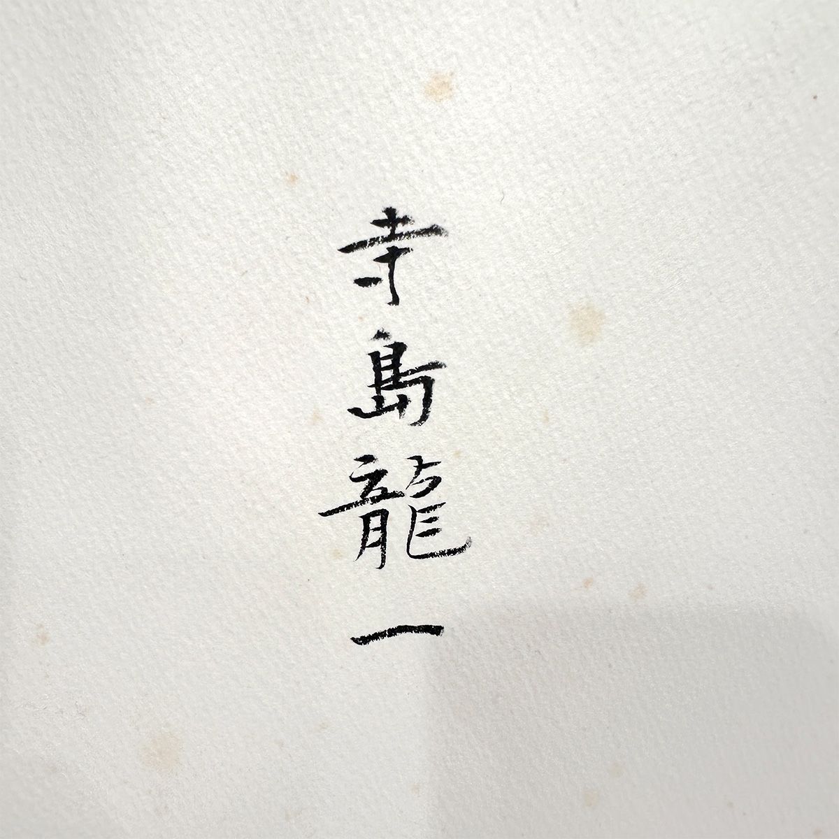 寺島龍一 バレリーナ 水彩4号大 人物画 女性像 美人画 ダンサー 踊子