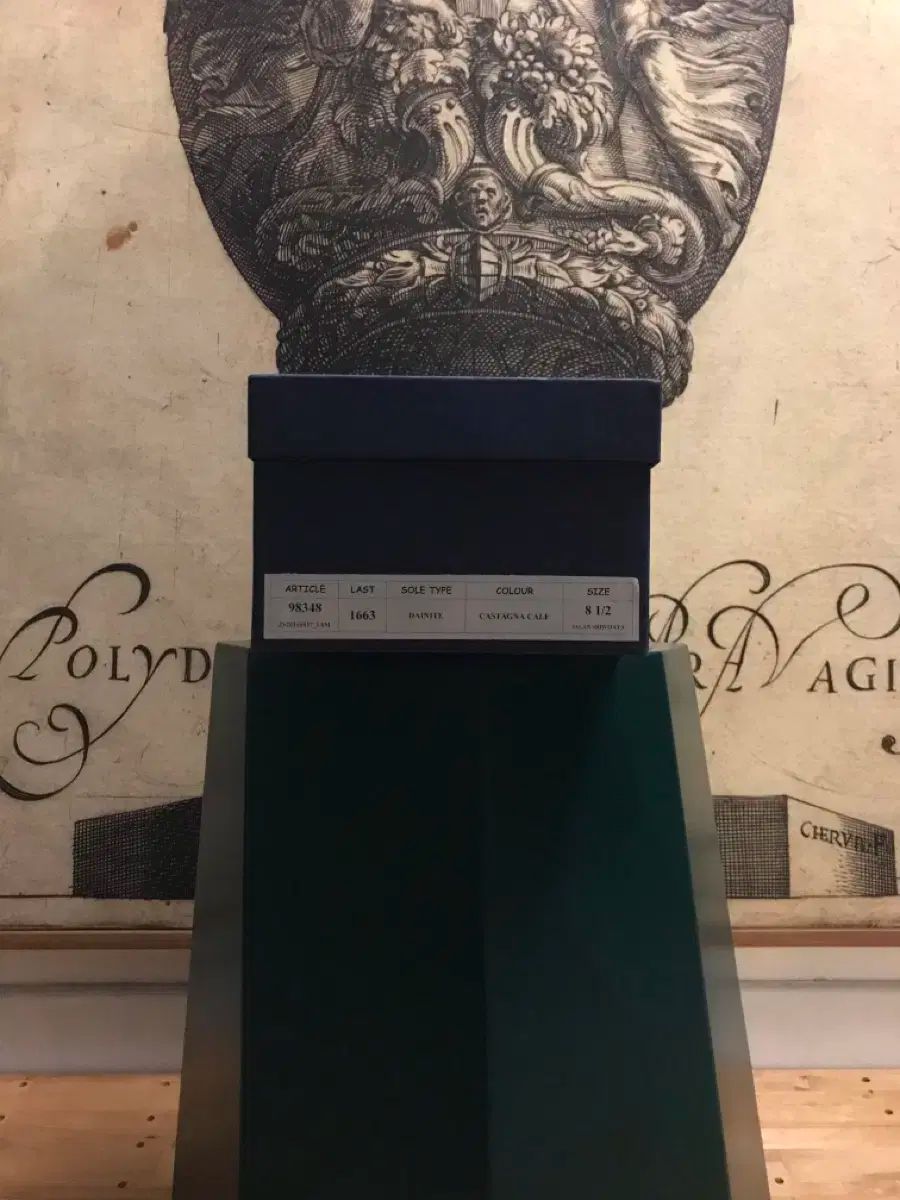 N よくらんLEE プレーン トゥー ブラウン 8 1 2