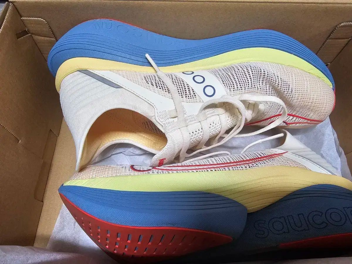 Saucony Endorphin Elite 2 270mm