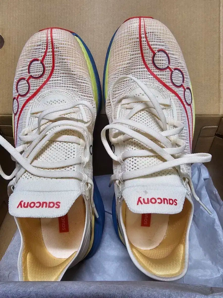 Saucony Endorphin Elite 2 270mm