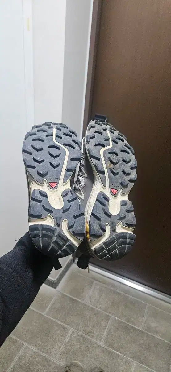 SALOMON サロモン