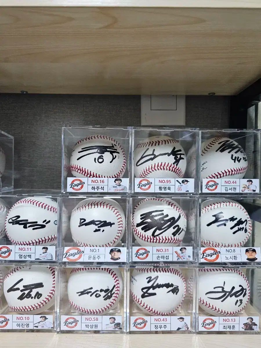 チェ ジェフン シム ウジュン イ ジニョン オム サンベク ジョンウ ジュ