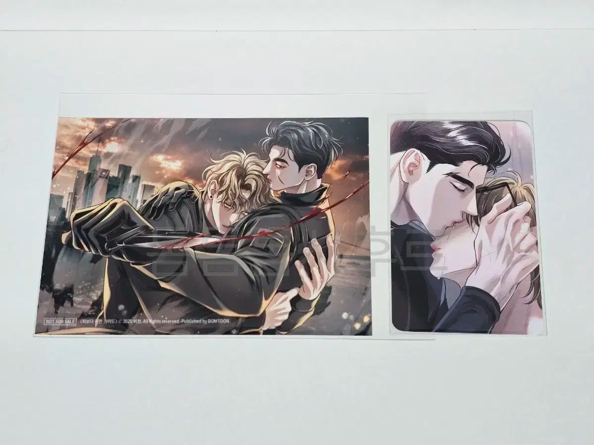 BOMTOON トレカ 特典 韓国BL BOMTOON HOMEPARTY特典 白夜の花道 トレカ