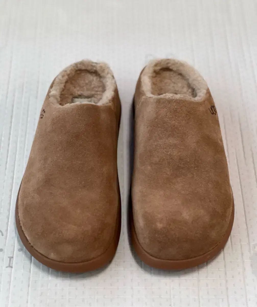 レディース スリッパ 23 5 cm サイズ