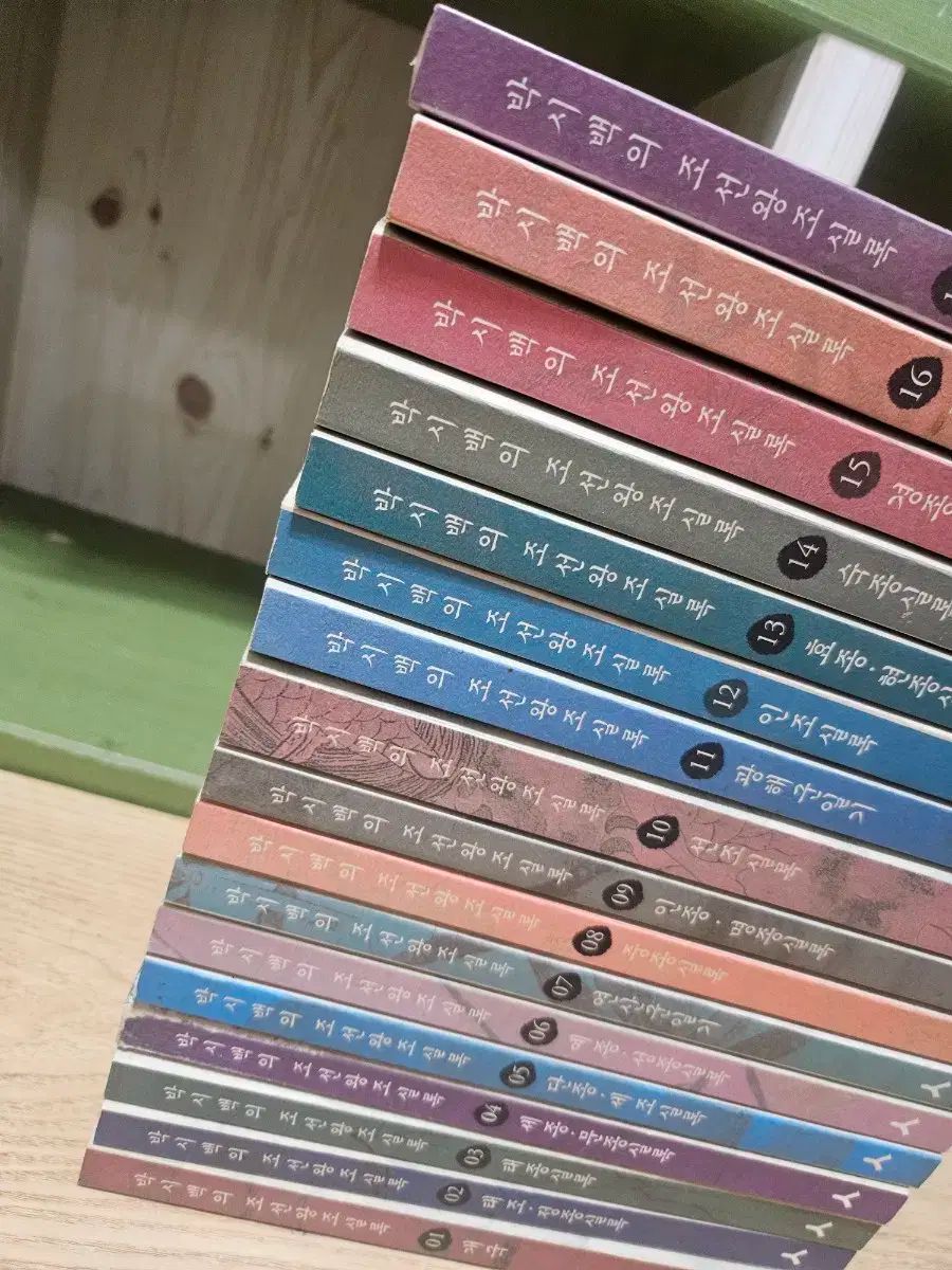 オーバーサイズバッグの朝鮮王朝実録