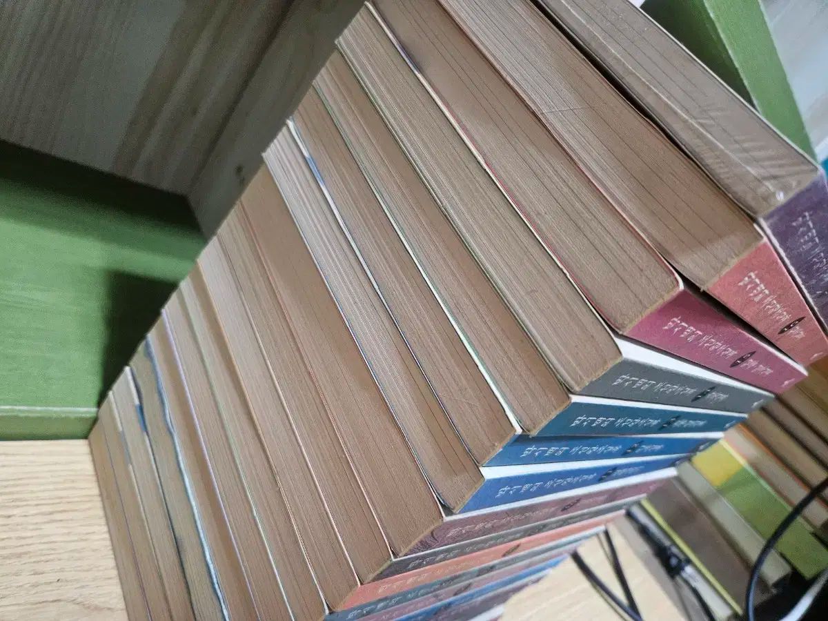 オーバーサイズバッグの朝鮮王朝実録