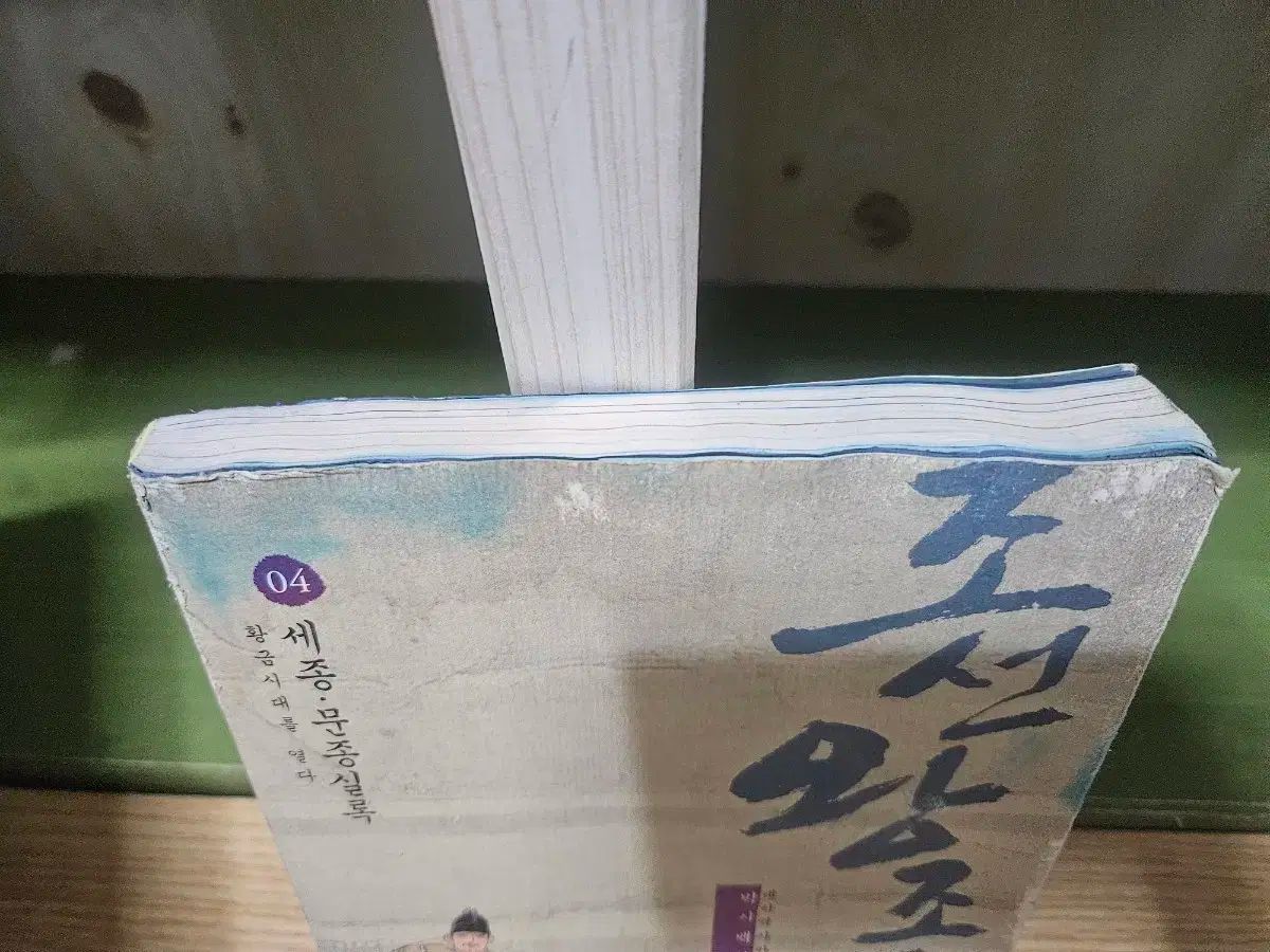 オーバーサイズバッグの朝鮮王朝実録