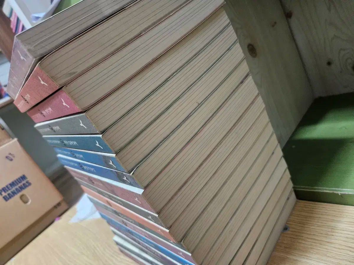 オーバーサイズバッグの朝鮮王朝実録