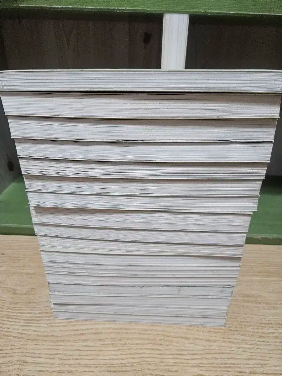 オーバーサイズバッグの朝鮮王朝実録