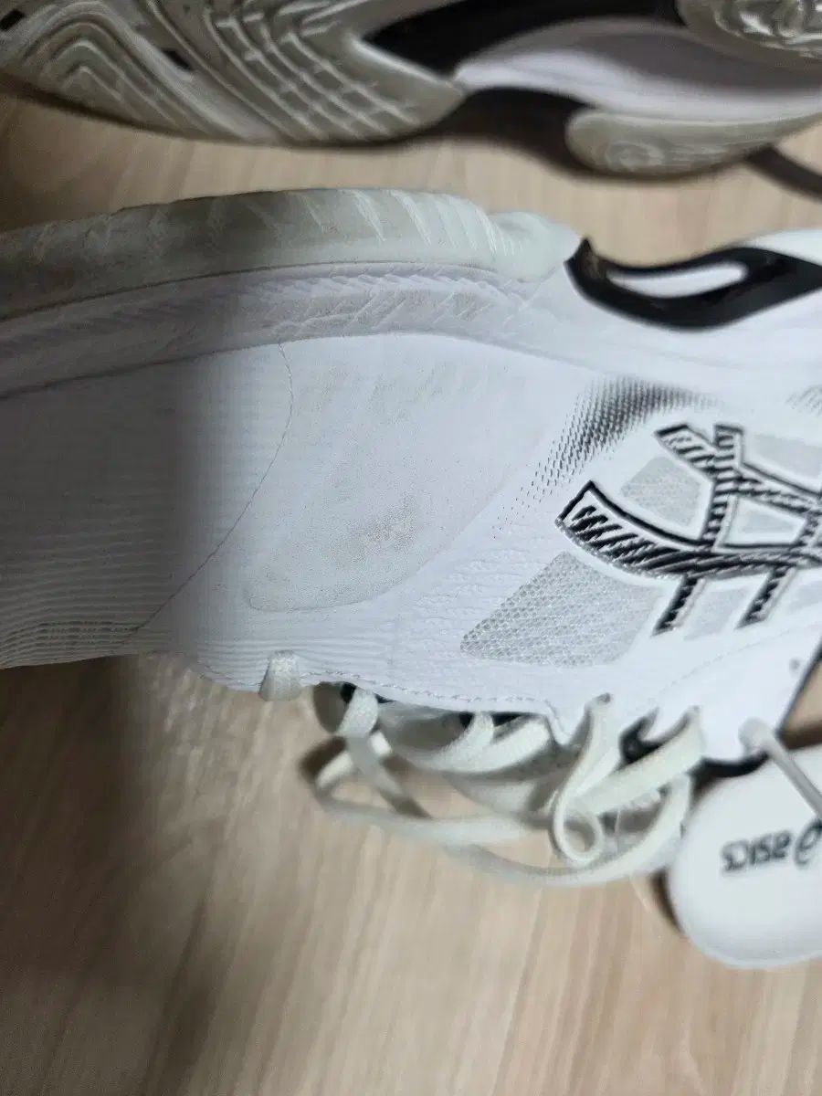  アシックスネットバーナーバリスティックff 4 その他 バドミントン