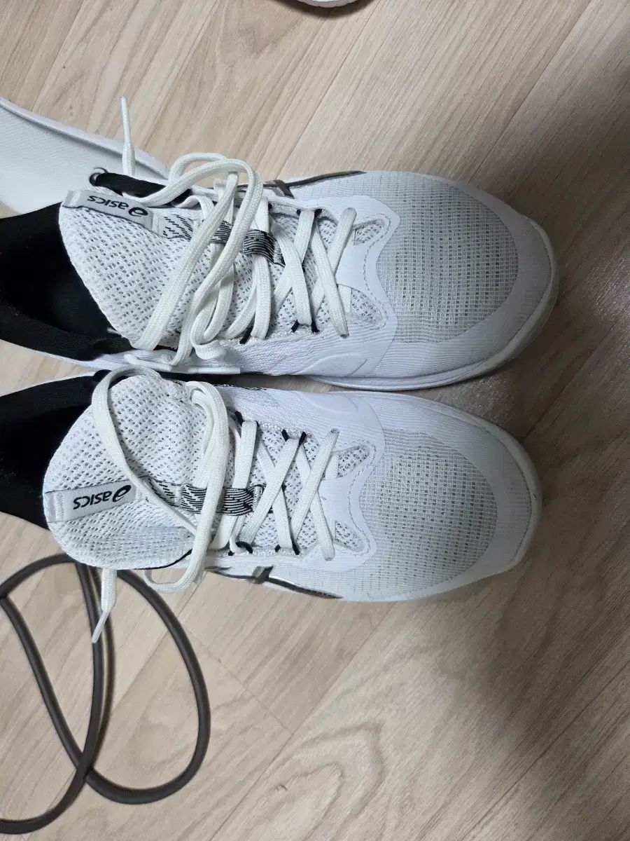 アシックスネットバーナーバリスティックff 4