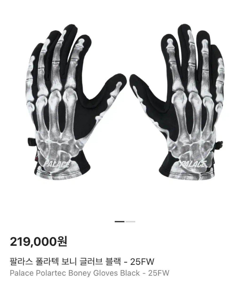 S-M パレス ポーラテック ボニー グローブ ブラック - 25FW