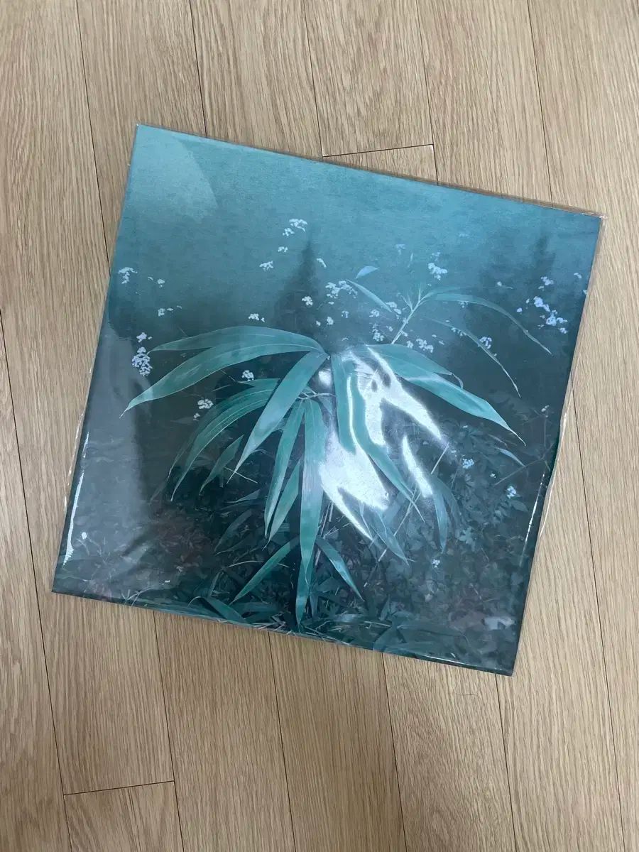 シン ヘギョン ー アンダードリーム 2 家 LP パッケージ