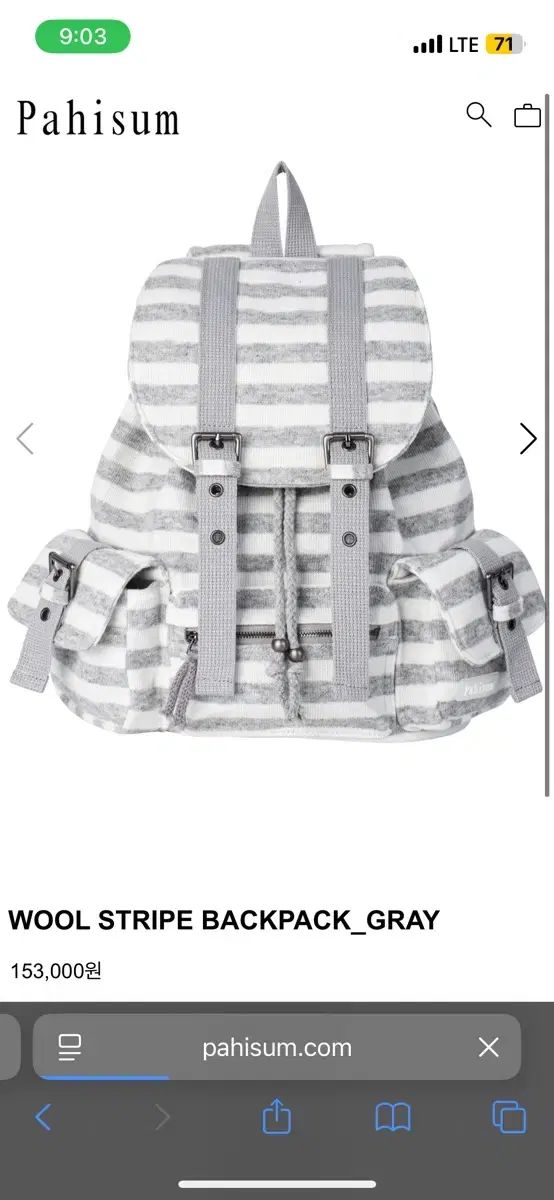 파히島ストライプ バックパック グレー