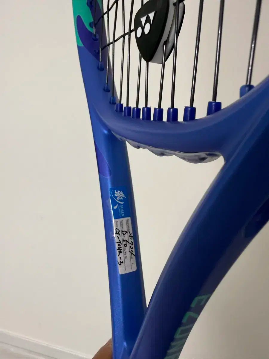  YONEX ヨネックス イージョン 98 モデル 305 g その他 テニス