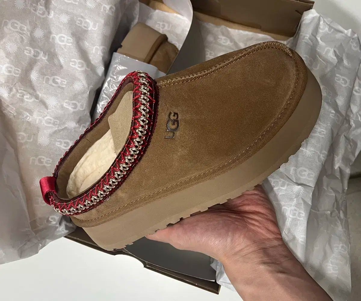 フルセット UGG アグ クラシック タズ チェスナット 230 mm