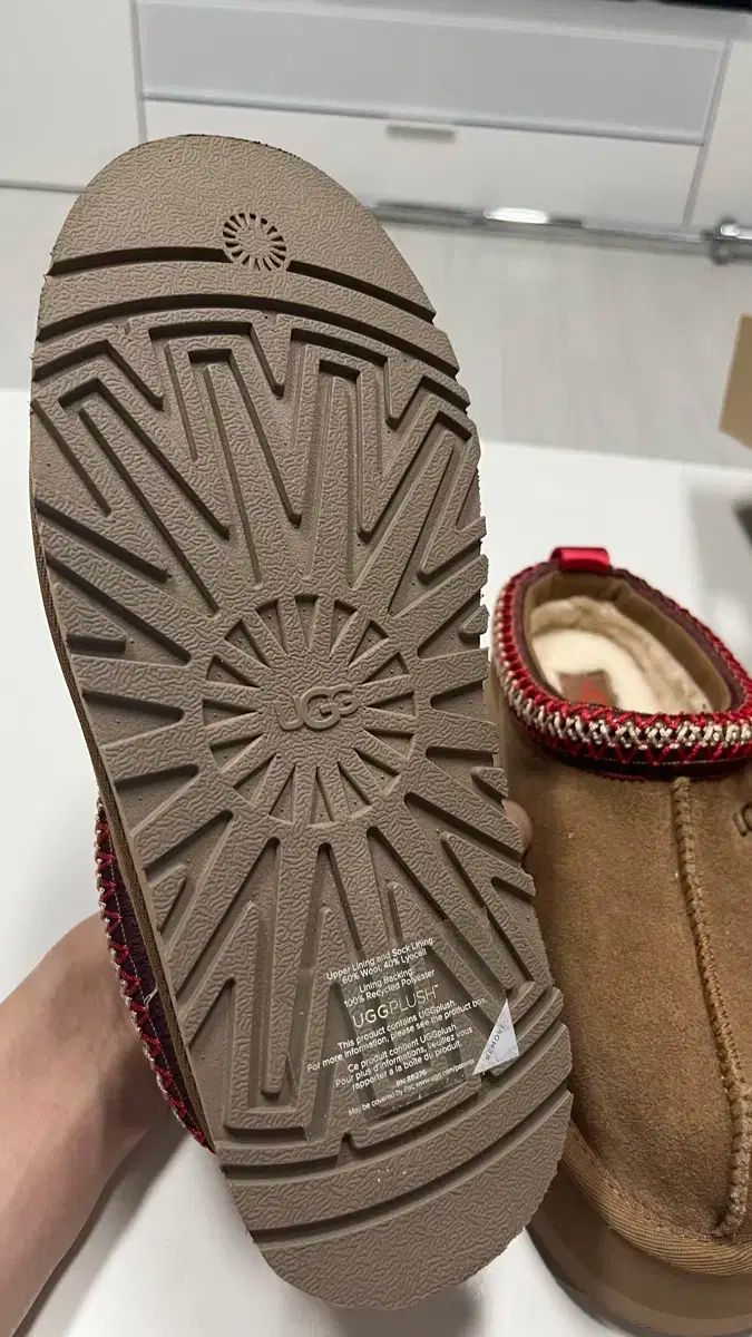 クラシック タズ