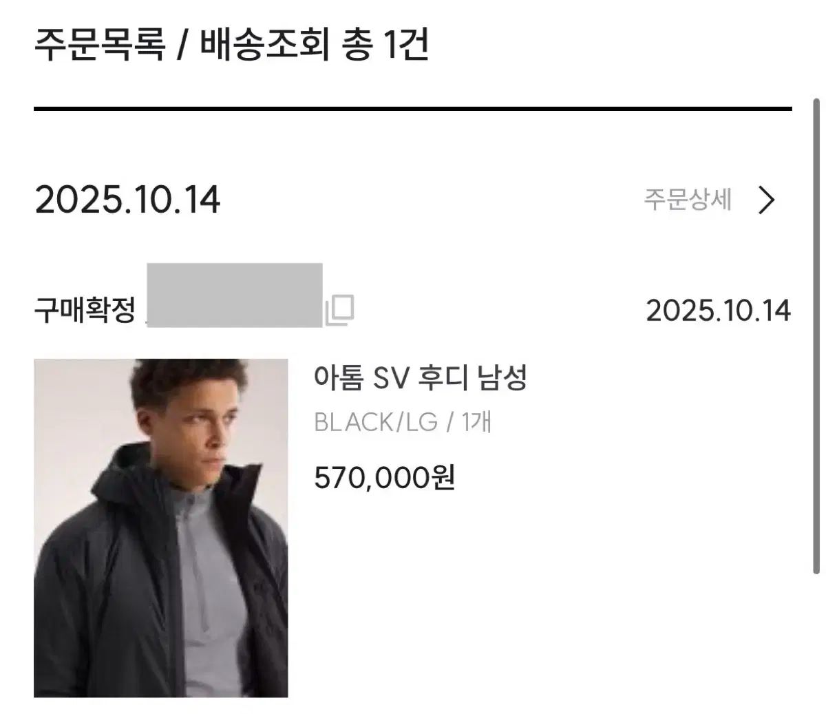 25fw ARC TERYX アークテリクス Atom アトム SV フーディ ブラック メンズL OLIVEOS_COM_TR