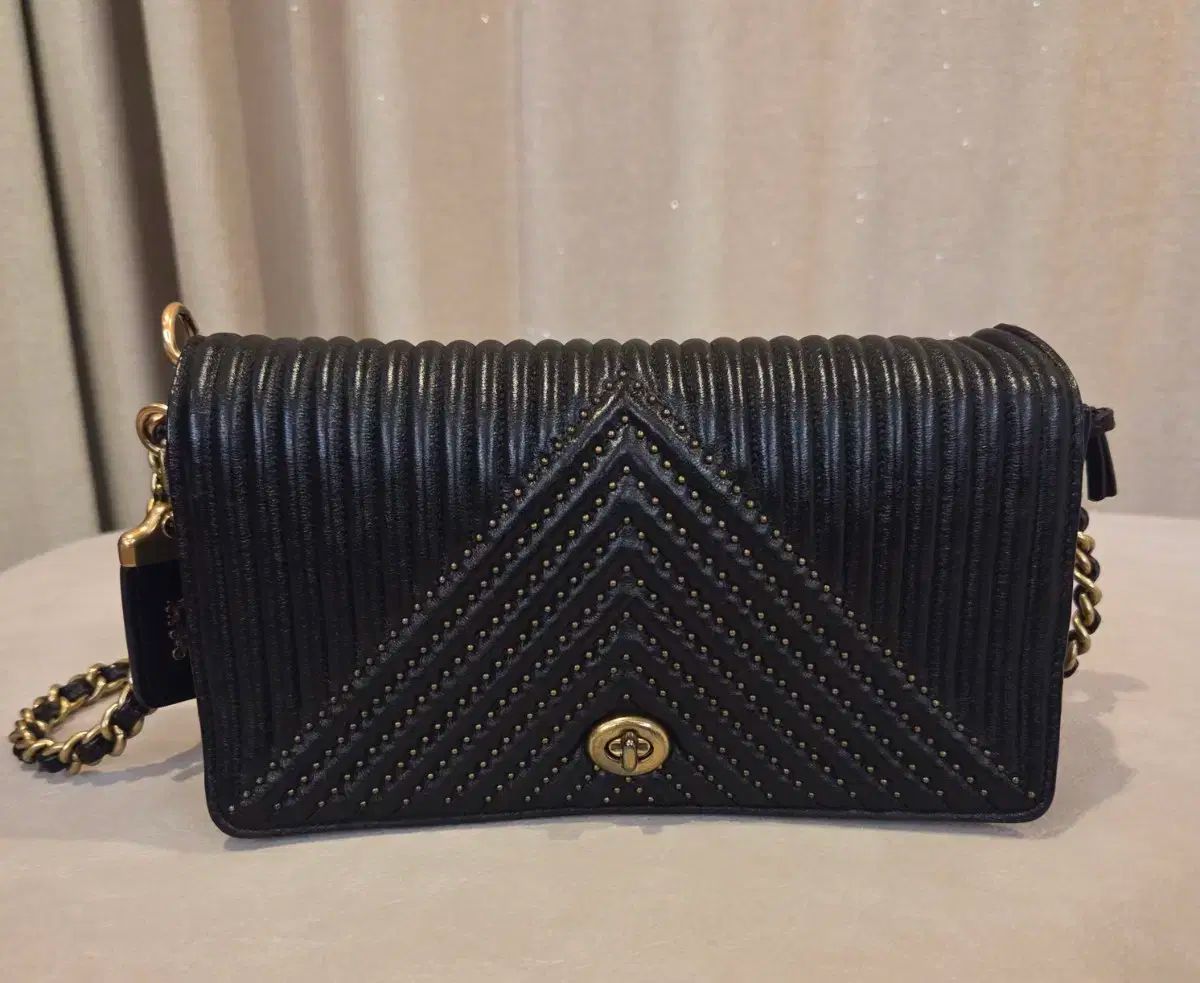 COACH ディンキー スタッズ チェーン クロスバック