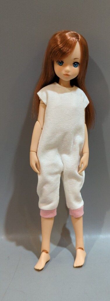 ペットワークス Fresh ruruko 2105