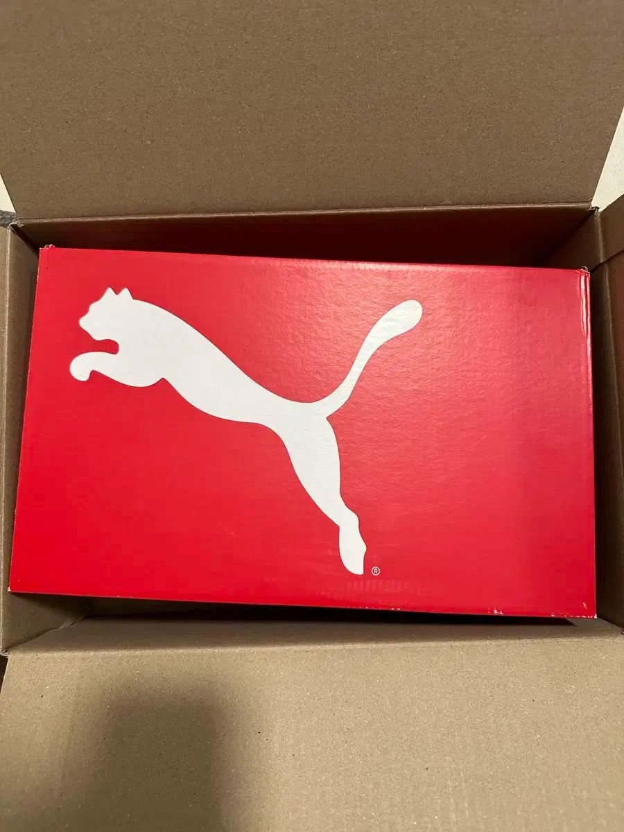 プーマ Hello Futurez 1 3 プロケージ