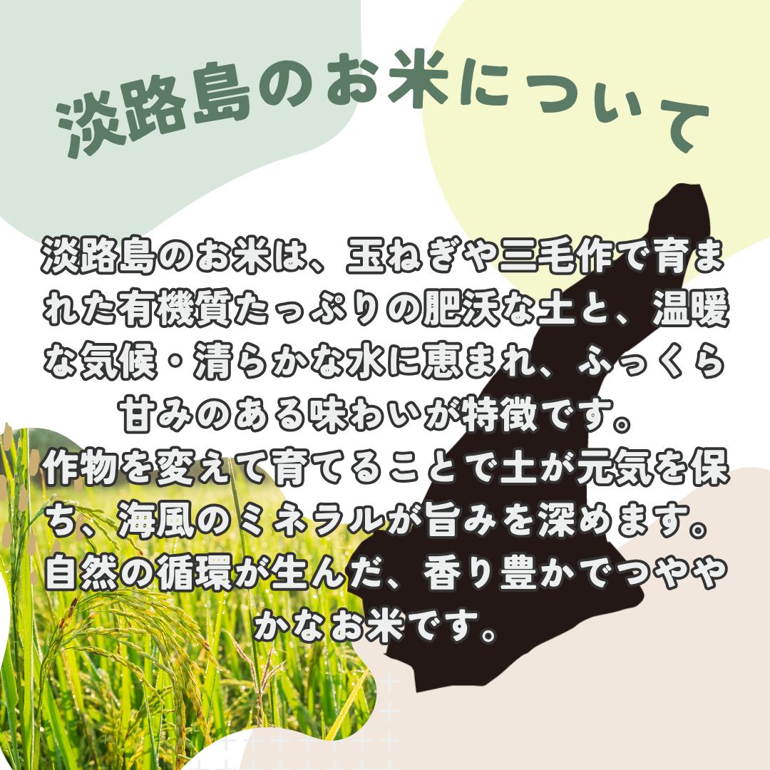 令和7年産】淡路島産 キヌヒカリ玄米 30kg 送料無料 - メルカリ