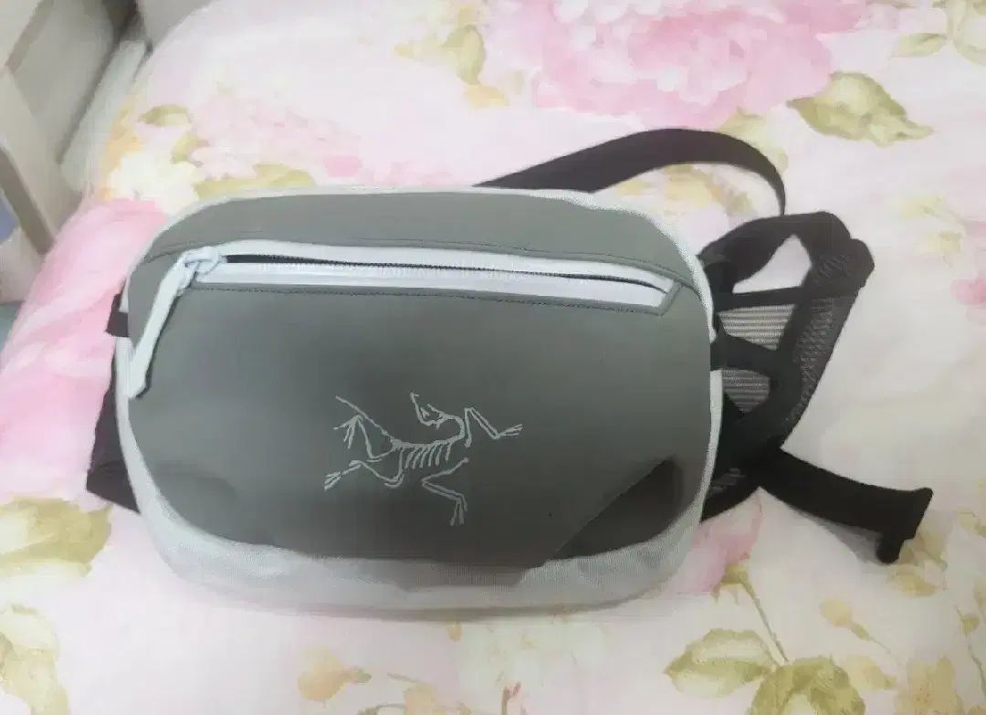 ARC TERYX アークテリクス アロー ウェストパック atmos アトモス