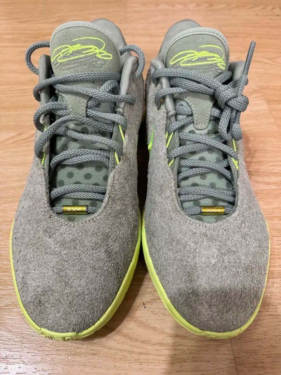 ナイキ レブロン 21 EP スウェード 280mm