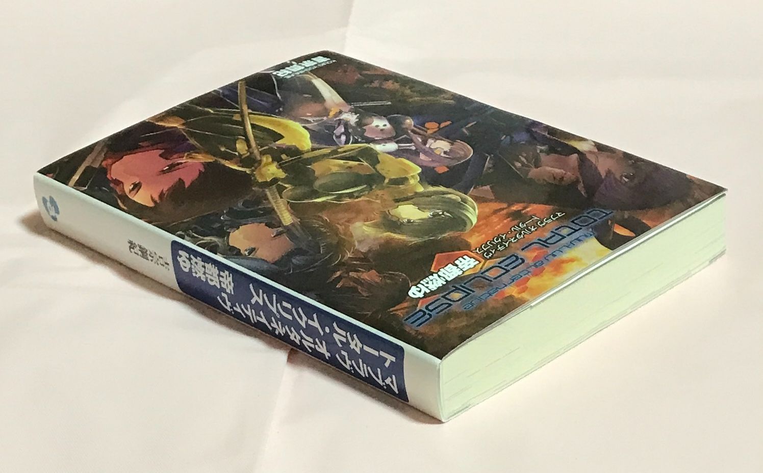 小説 マブラヴ オルタネイティヴ トータル・イクリプス 帝都燃ゆ 完全