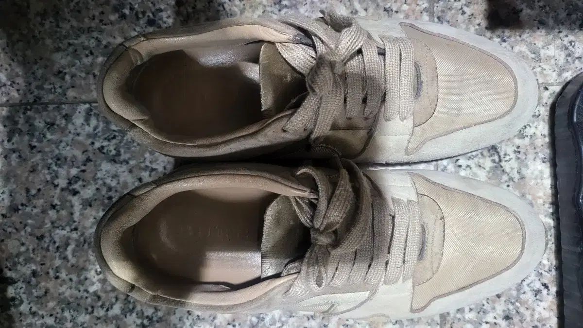 バーバリー スニーカー 36 サイズ 230 前後