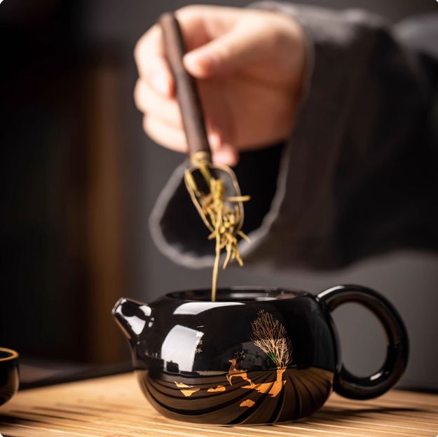 10点入り黒釉功夫茶具セット 家用 軽奢 陶瓷 茶釜 茶杯