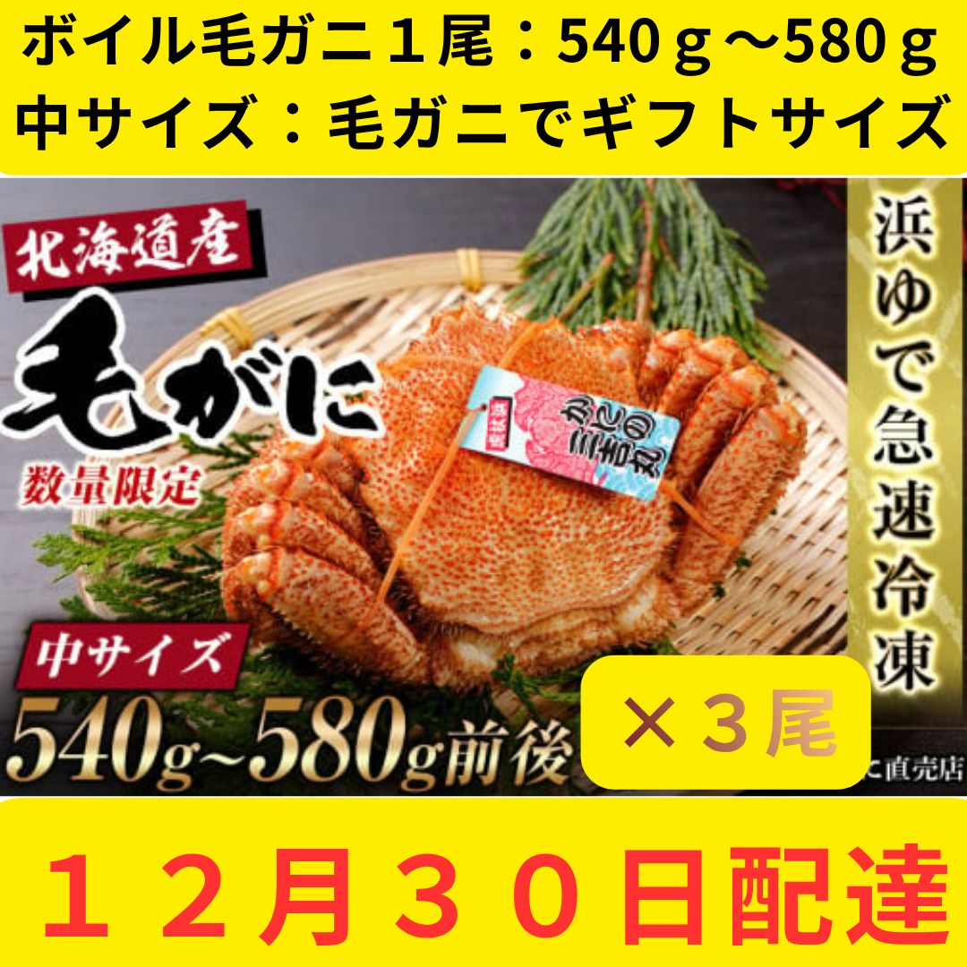 12月30日お届け】毛ガニ540g～580g 3尾 節約 冷凍 北海道産 北海道