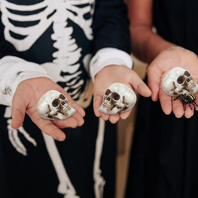 迅速発送】STOBOK 頭骸骨 模型 ハロウィン 飾りお化け屋敷道具 スカル