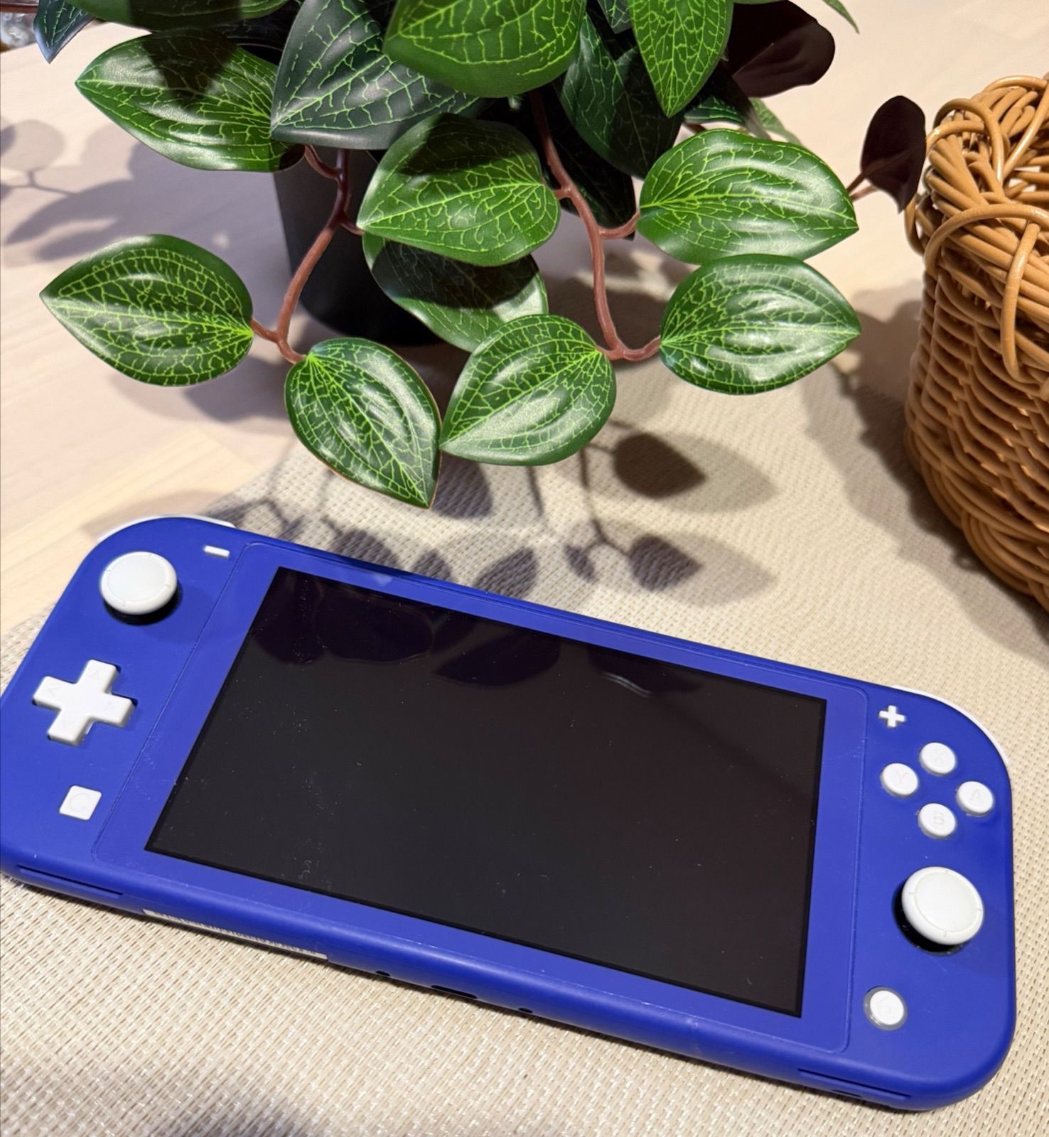 Nintendo Switch Lite ブルー 本体 画面保護フィルム装着 どうぶつの森カセット