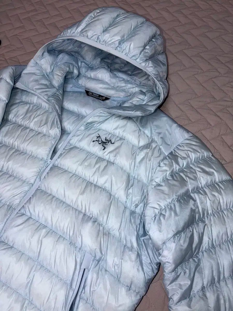 ARC TERYX Cerium L イーザー