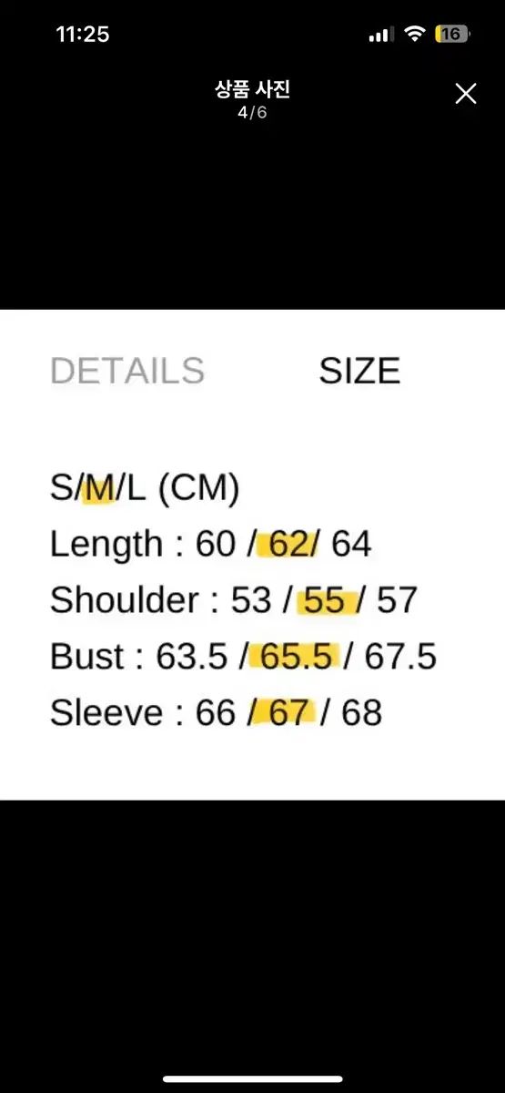 ベイコンテント