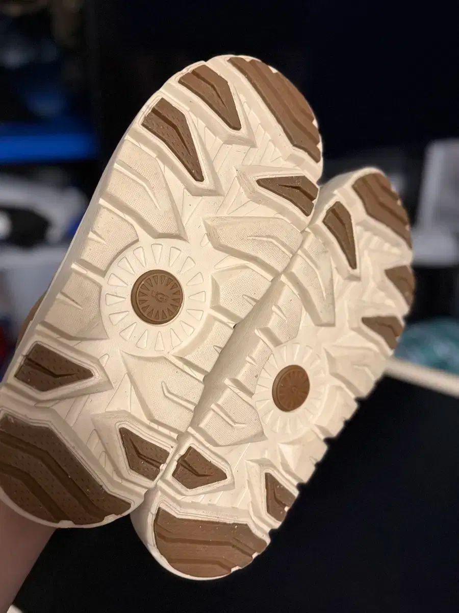 ハイブリッド 290