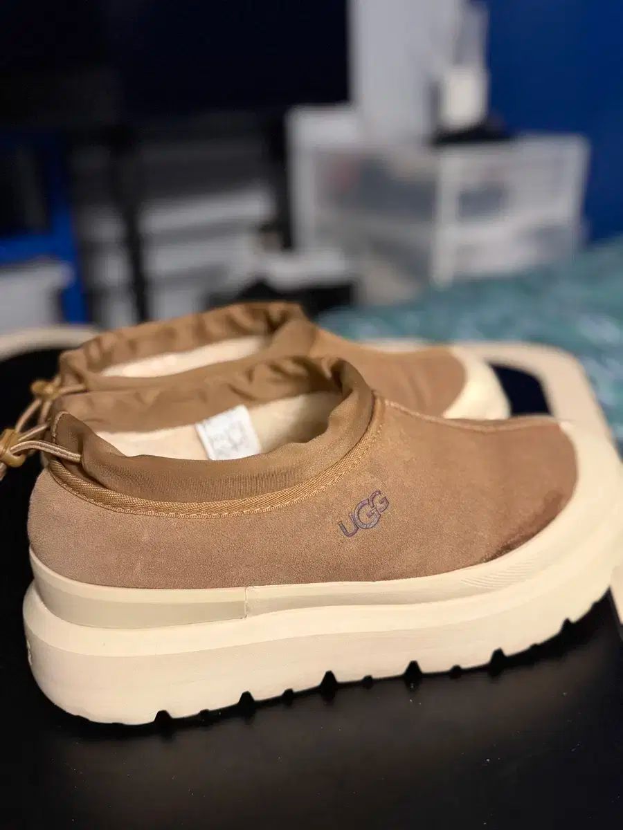 アグ タスマン ハイブリッド 290