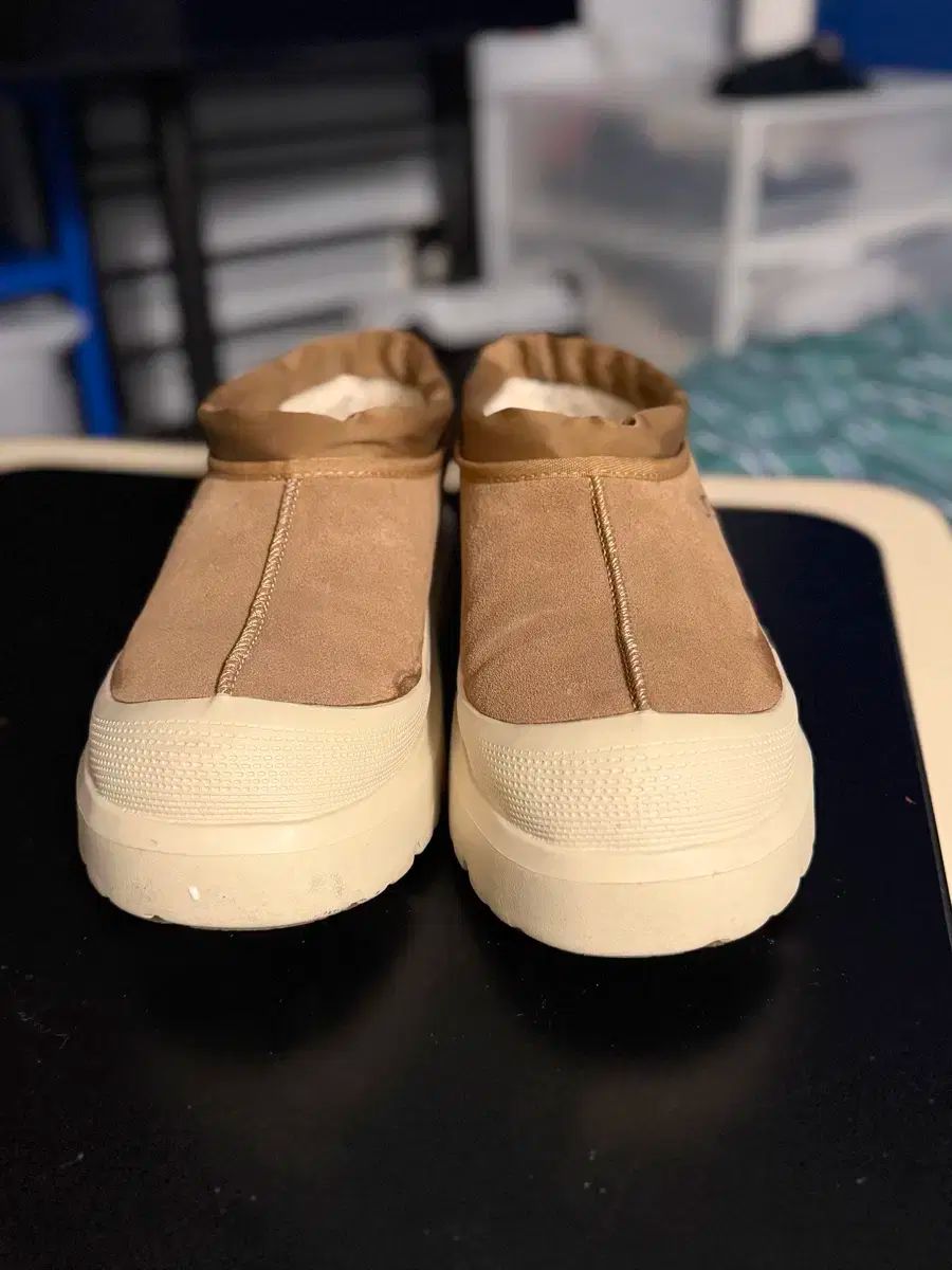 アグ タスマン ハイブリッド 290