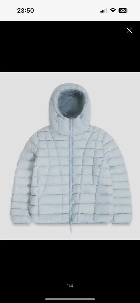 チークス カーブライン フーディー ライト ダウン スカイブルー L