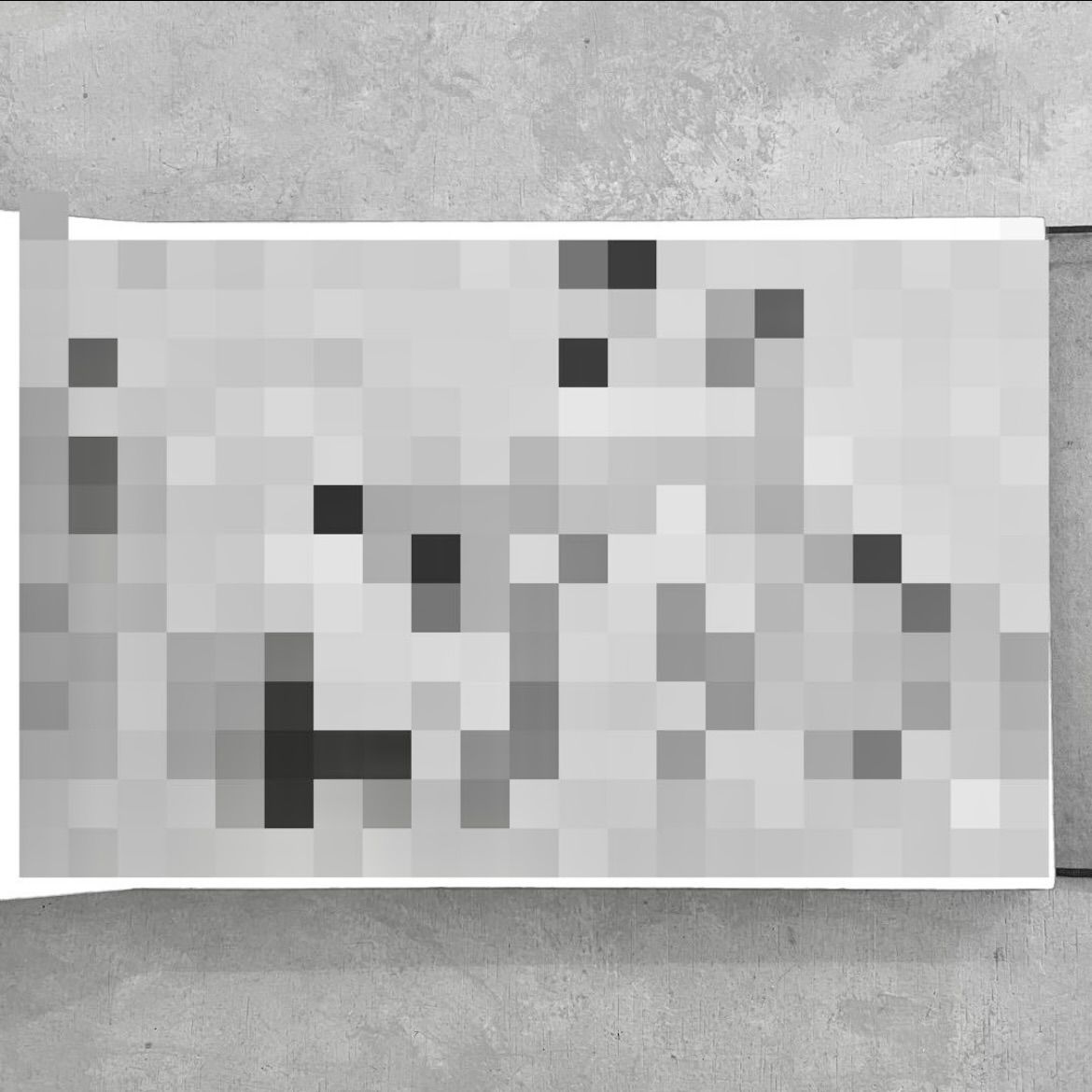 . 江戸末期 殿様 貢物 艶本 高級品 江戸時代 侍 幕末 日本画 水墨画 上流 江戸末期 殿様 貢物 艶本 高級品 江戸時代 侍 幕末 日本画 水墨画 上流