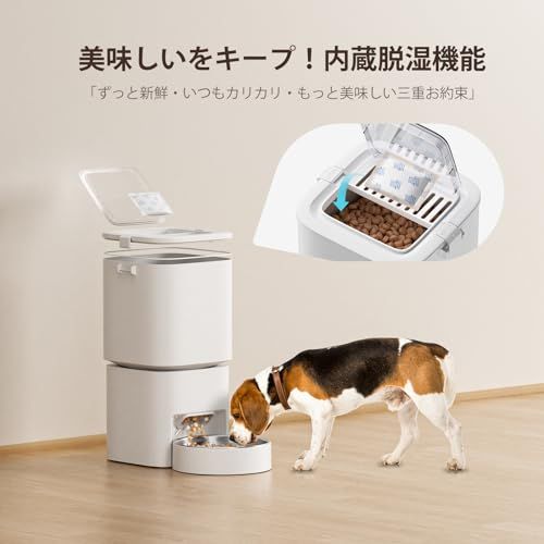 1日6食 ホワイト