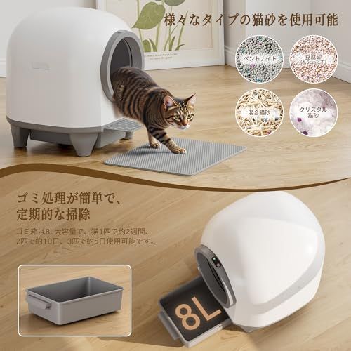 お留守番 スマホ管理